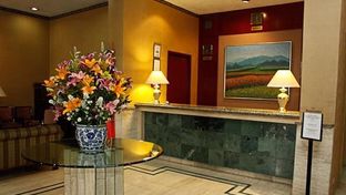 Pedregal Palace Hotel