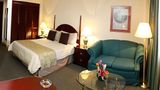 <b>Pedregal Palace Hotel Room</b>. Images powered by <a href="https://iceportal.shijigroup.com/" title="IcePortal" target="_blank">IcePortal</a>.