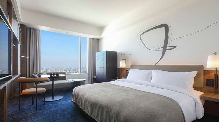 Tokyo Dome Hotel Room
