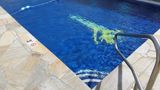 The Imperial Hawaii Resort at Waikiki Pool