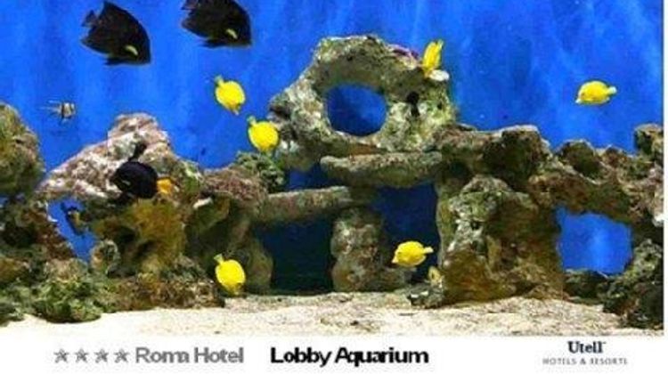 Hotel Roma Other