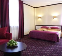 Park Hotel Golosievo Room