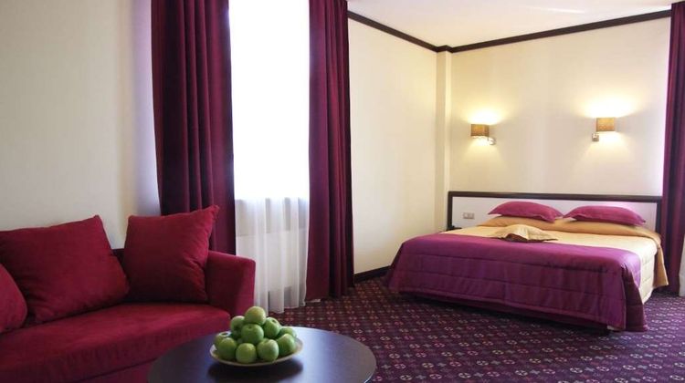 Park Hotel Golosievo Room