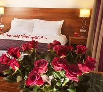 Hotel Galileo Room