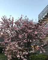 Campanile Cergy Pontoise
