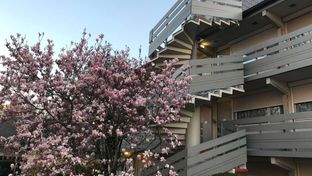 Campanile Cergy Pontoise