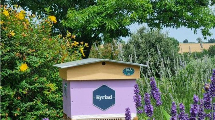 Kyriad Hotel Angouleme Exterior
