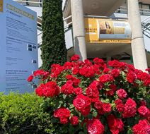 Premiere Classe La Rochelle Sud-Angoulin Exterior