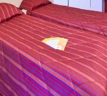 Premiere Classe Roanne Perreux Room