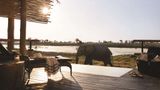 <b>Belmond Safaris Other</b>. Images powered by <a href="https://iceportal.shijigroup.com/" title="IcePortal" target="_blank">IcePortal</a>.