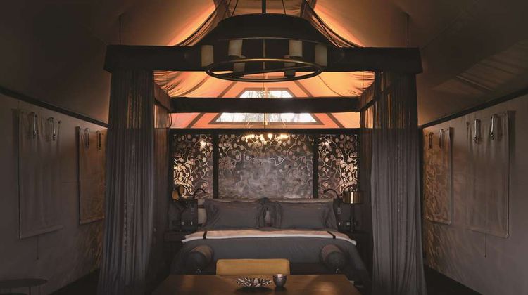 Belmond Safaris Suite