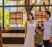 Occidental Nuevo Vallarta Lobby