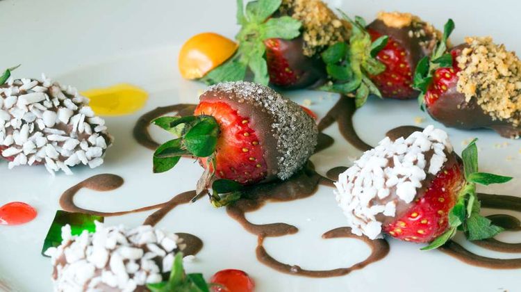Occidental Papagayo – Adults Only Room