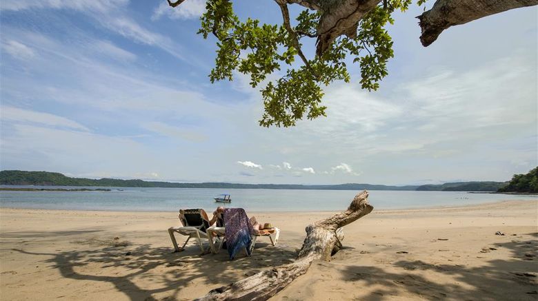 <b>Occidental Papagayo – Adults Only Beach</b>. Images powered by <a href="https://iceportal.shijigroup.com/" title="IcePortal" target="_blank">IcePortal</a>.