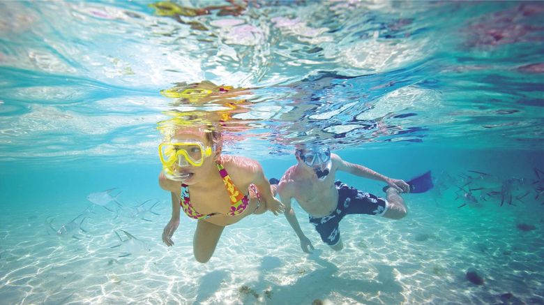 <b>Allegro Cozumel Beach</b>. Images powered by <a href="https://iceportal.shijigroup.com/" title="IcePortal" target="_blank">IcePortal</a>.