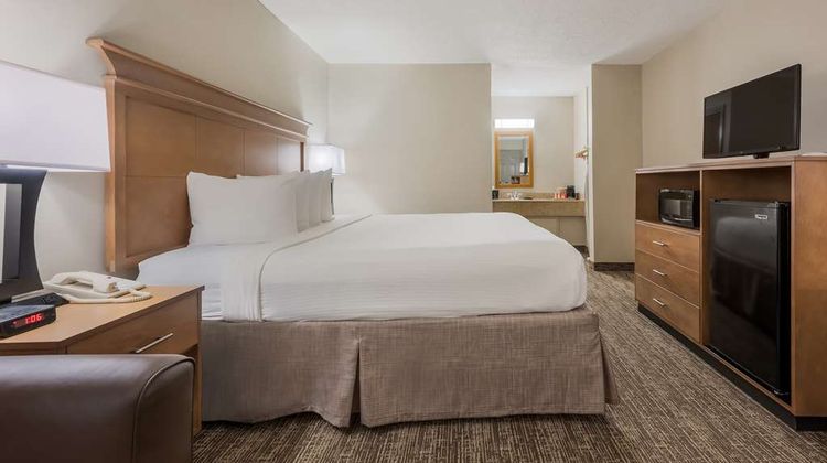 Best Western University Inn Room