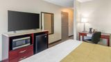 Best Western Auburn/Opelika Inn Room