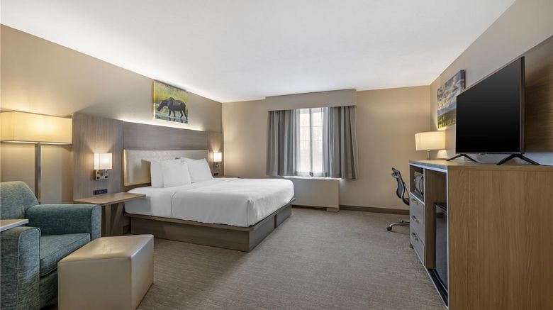 <b>Best Western Plus Pioneer Park Inn Room</b>. Images powered by <a href="https://iceportal.shijigroup.com/" title="IcePortal" target="_blank">IcePortal</a>.