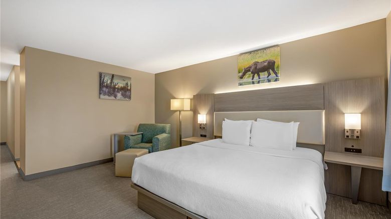 <b>Best Western Plus Pioneer Park Inn Room</b>. Images powered by <a href="https://iceportal.shijigroup.com/" title="IcePortal" target="_blank">IcePortal</a>.