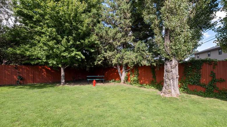 <b>Best Western Pony Soldier Inn & Suites Other</b>. Images powered by <a href="https://iceportal.shijigroup.com/" title="IcePortal" target="_blank">IcePortal</a>.