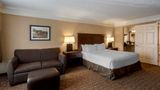 <b>Best Western Inn of the Ozarks Room</b>. Images powered by <a href="https://iceportal.shijigroup.com/" title="IcePortal" target="_blank">IcePortal</a>.