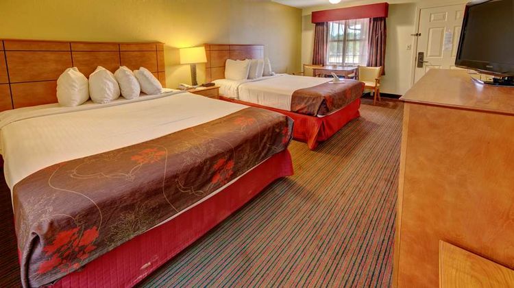 Best Western Inn Room