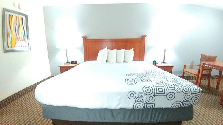Best Western Jacksonville Inn Room