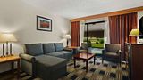 Best Western Windsor Suites Suite