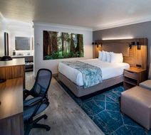 Best Western Plus Humboldt Bay Inn Room