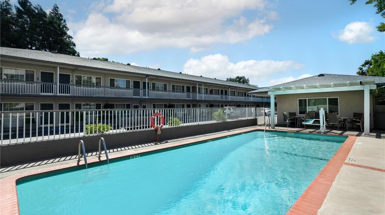 Best Western Town House Lodge Pool