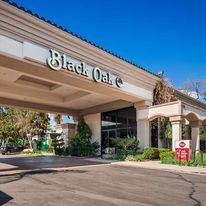 Best Western Plus Black Oak