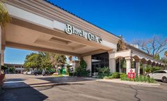 Best Western Plus Black Oak