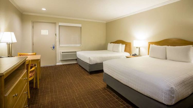 Best Western Inn Room