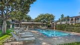 <b>Best Western Plus Santa Barbara Pool</b>. Images powered by <a href="https://iceportal.shijigroup.com/" title="IcePortal" target="_blank">IcePortal</a>.