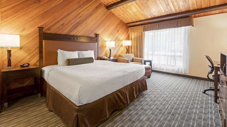 Best Western Plus Tree House Room