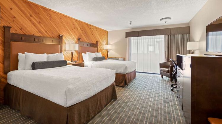 Best Western Plus Tree House Room
