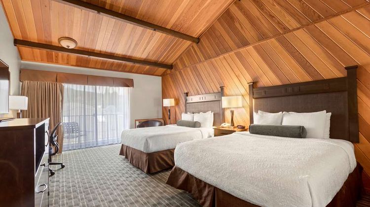 Best Western Plus Tree House Room