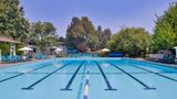 Best Western Corte Madera Inn Pool