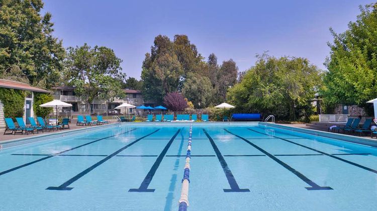Best Western Corte Madera Inn Pool