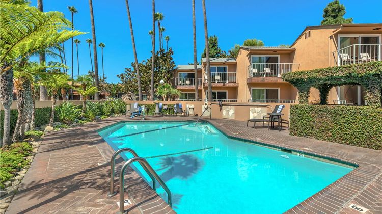 Best Western Pine Tree Motel Pool