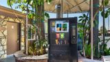 Best Western Pine Tree Motel Other