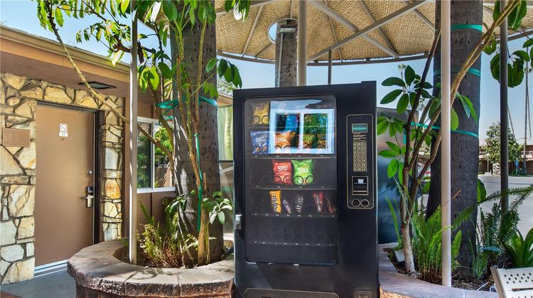 Best Western Pine Tree Motel Other