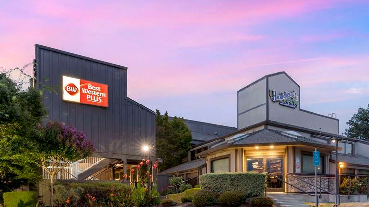 Best Western Plus Inn at the Vines Room