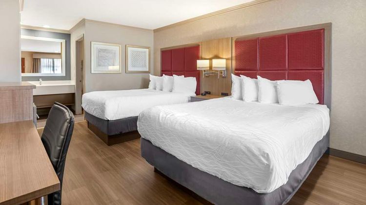 Best Western Inn Room