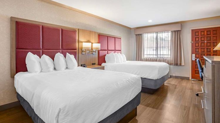 Best Western Inn Room