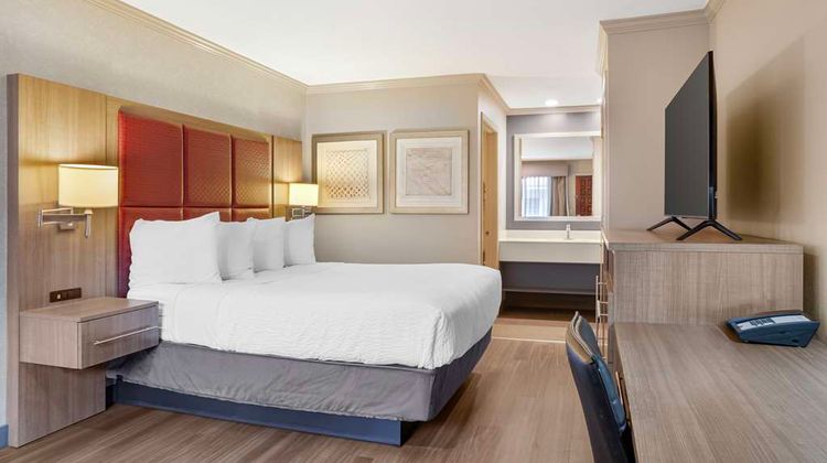 Best Western Inn Room