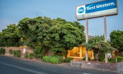 Best Western Village Inn