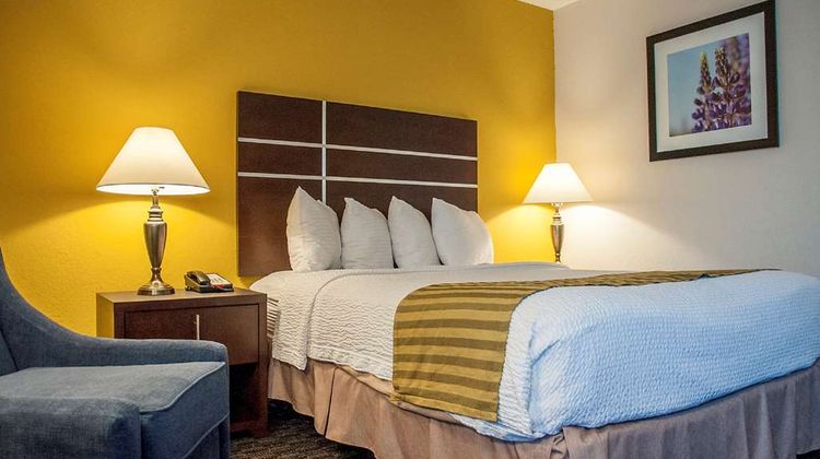 Best Western Village Inn Room