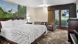 <b>Best Western Plus Yosemite Gateway Inn Room</b>. Images powered by <a href="https://iceportal.shijigroup.com/" title="IcePortal" target="_blank">IcePortal</a>.