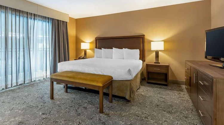 Best Western Plus Inn Scotts Valley Suite